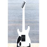 ESP LTD M-1000 Ebony Fingerboard Snow White Micros EMG Guitare Électrique #IW20060338