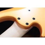 Dingwall Adam "Nolly" Getgood NG3 6 Cordes Matte Lambo Orange Basse Électrique avec Étui