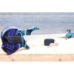 Dingwall Adam "Nolly" Getgood NG3 5 Cordes Matte Purple-Blue Fade Swirl Édition Limitée