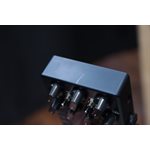 Darkglass Electronics Alpha-Omega Dual Basse Préamplificateur/Overdrive Pédale d'Effet