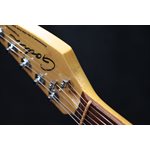 Godin Progression Black High Gloss avec Micros Fender Guitare Électrique avec Étui