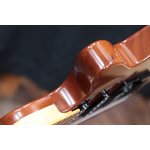 Godin Exit 22-S Performance Series MN Natural Mahogany Guitare Électrique avec Étui