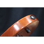 Godin Exit 22-S Performance Series MN Natural Mahogany Guitare Électrique avec Étui