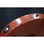Godin Exit 22-S Performance Series MN Natural Mahogany Guitare Électrique avec Étui