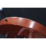 Godin Exit 22-S Performance Series MN Natural Mahogany Guitare Électrique avec Étui