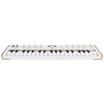 Arturia AstroLab 37 Avant-garde Stage Keyboard