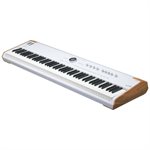 Arturia AstroLab 88 Avant-garde Stage Keyboard
