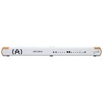 Arturia AstroLab 88 Avant-garde Stage Keyboard