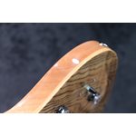 PRS SE Custom 24 Burled Ash Limited Edition Natural Guitare Électrique avec Étui #G110063