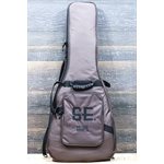 PRS SE Studio Standard Mahogany Solidbody Sage Green Guitare Électrique avec Étui