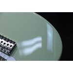 PRS SE Studio Standard Mahogany Solidbody Sage Green Guitare Électrique avec Étui