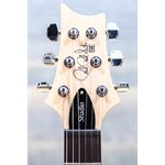 PRS SE Studio Standard Mahogany Solidbody Sage Green Guitare Électrique avec Étui
