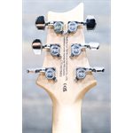 PRS SE Studio Standard Mahogany Solidbody Sage Green Guitare Électrique avec Étui