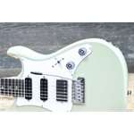 PRS SE Studio Standard Mahogany Solidbody Sage Green Guitare Électrique avec Étui