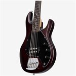 Sterling by Music Man StingRay 5 RAY5 - Walnut Satin