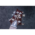 PRS SE Studio Figured Maple Top Orange Tiger Smokeburst Guitare Électrique avec Étui